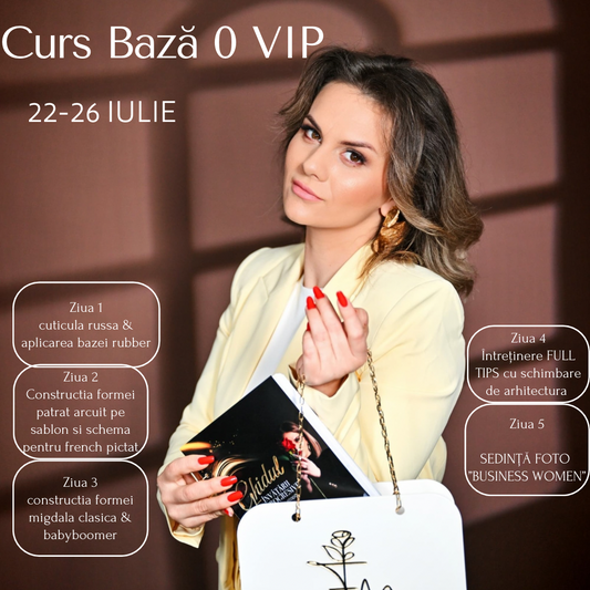 Curs BAZĂ A1 VIP
